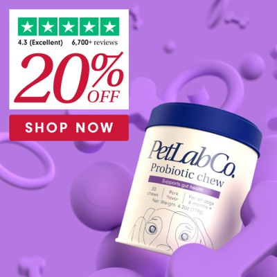 announcement new ad template — Petlab Co.