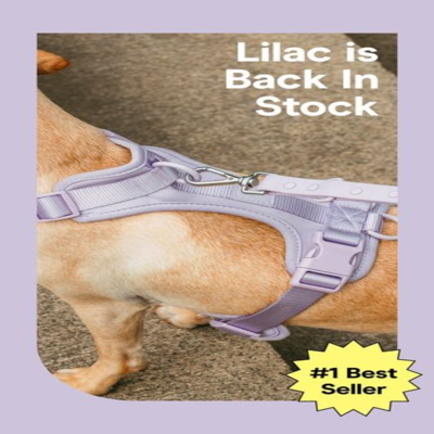 features benefits ad template — Wild One