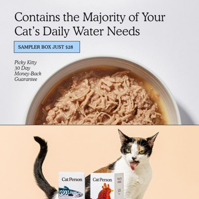 benefits benefits ad template — Cat Person