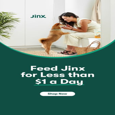 deal offer ad template — Jinx