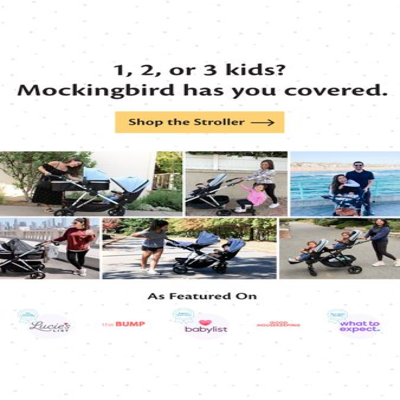 as seen in media & pr ad template — Mockingbird