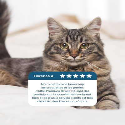 endorsement testimonial ad template — 