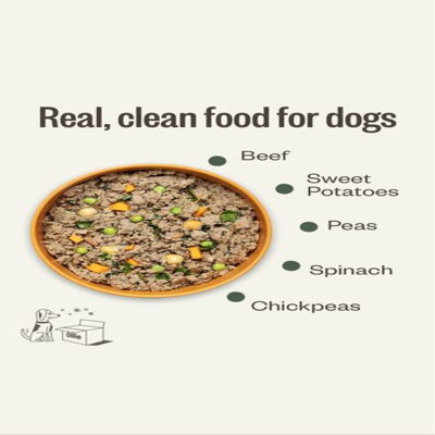 bundle product suite ad template — Ollie