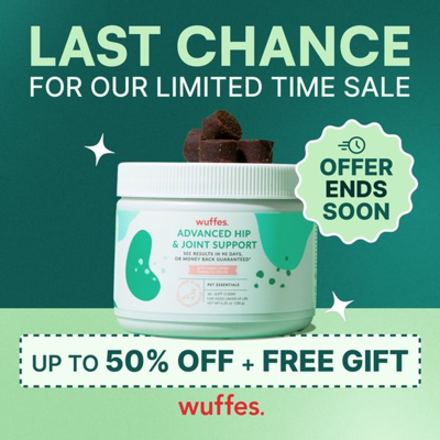 discount offer ad template — Wuffes