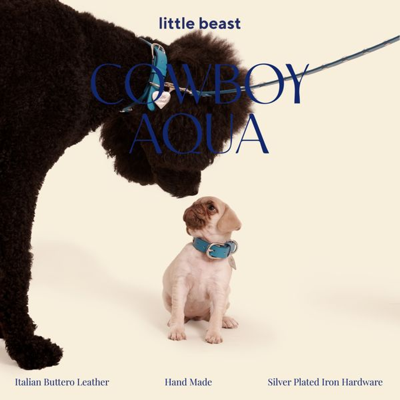 product drop new ad template — Little Beast