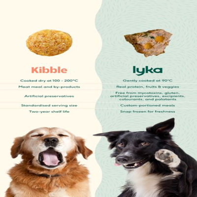 alternative comparison ad template — Lyka Pet Food