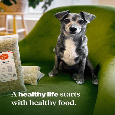 catalog product suite ad template — The Farmers Dog