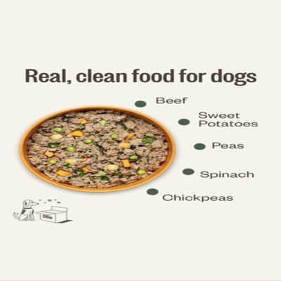 bundle product suite ad template — Ollie