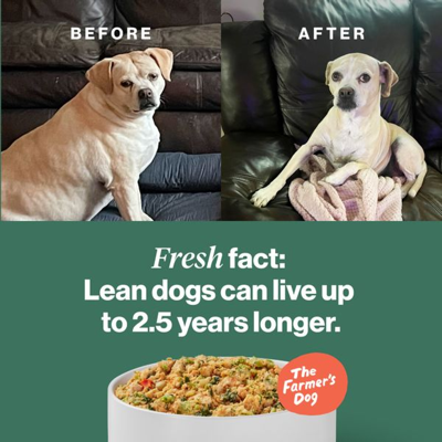 vs comparison ad template — The Farmers Dog