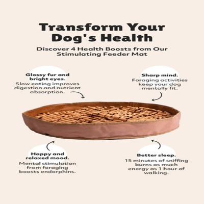 highlight benefits ad template — Reggie