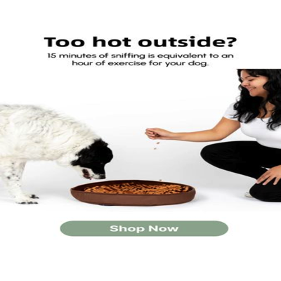 product suite product suite ad template — Reggie