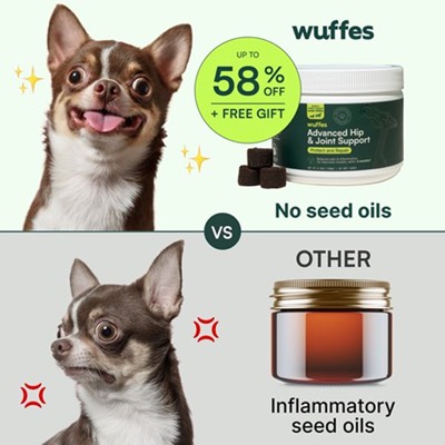 vs comparison ad template — Wuffes