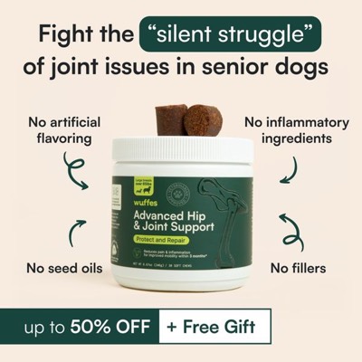 product suite product suite ad template — Wuffes