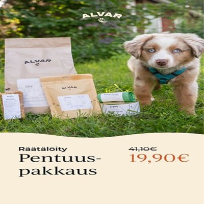 flash sale offer ad template — Alvar Pet