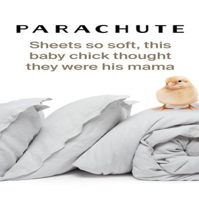 bundle product suite ad template — Parachute