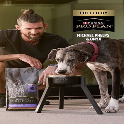 media media & pr ad template — Petco