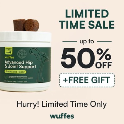 promotion offer ad template — Wuffes