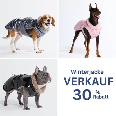 flash sale offer ad template — Spark Paws