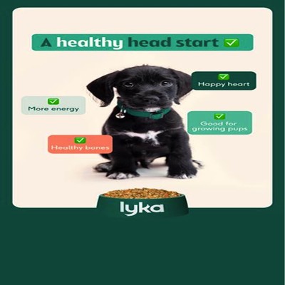selling point benefits ad template — Lyka Pet Food