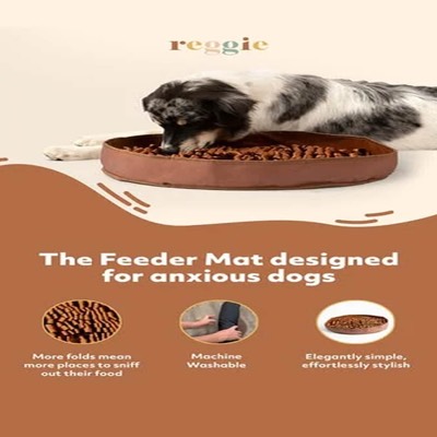 multi product product suite ad template — Reggie