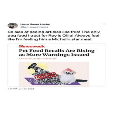 feedback testimonial ad template — Ollie