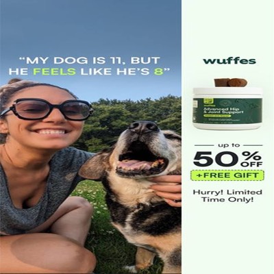 limited time offer ad template — Wuffes