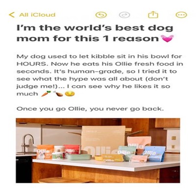 feedback testimonial ad template — Ollie