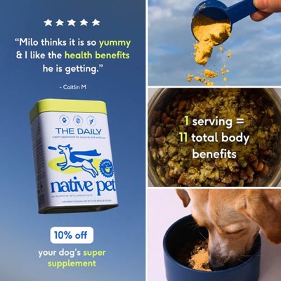 feedback testimonial ad template — Native Pet