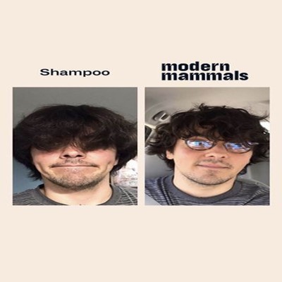 versus comparison ad template — Modern Mammals