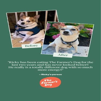 leash ad ad template — The Farmers Dog