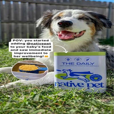 cat ad ad template — Native Pet